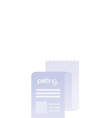 카드 배경 아이콘