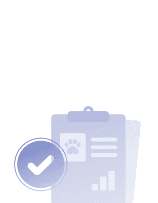 카드 배경 아이콘