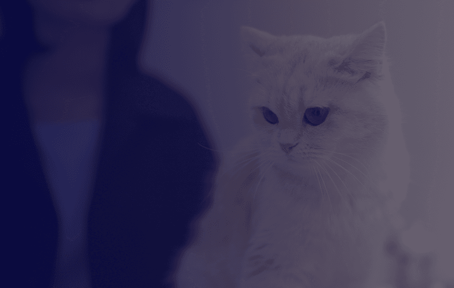 복용/사용 전·후 관찰 연구