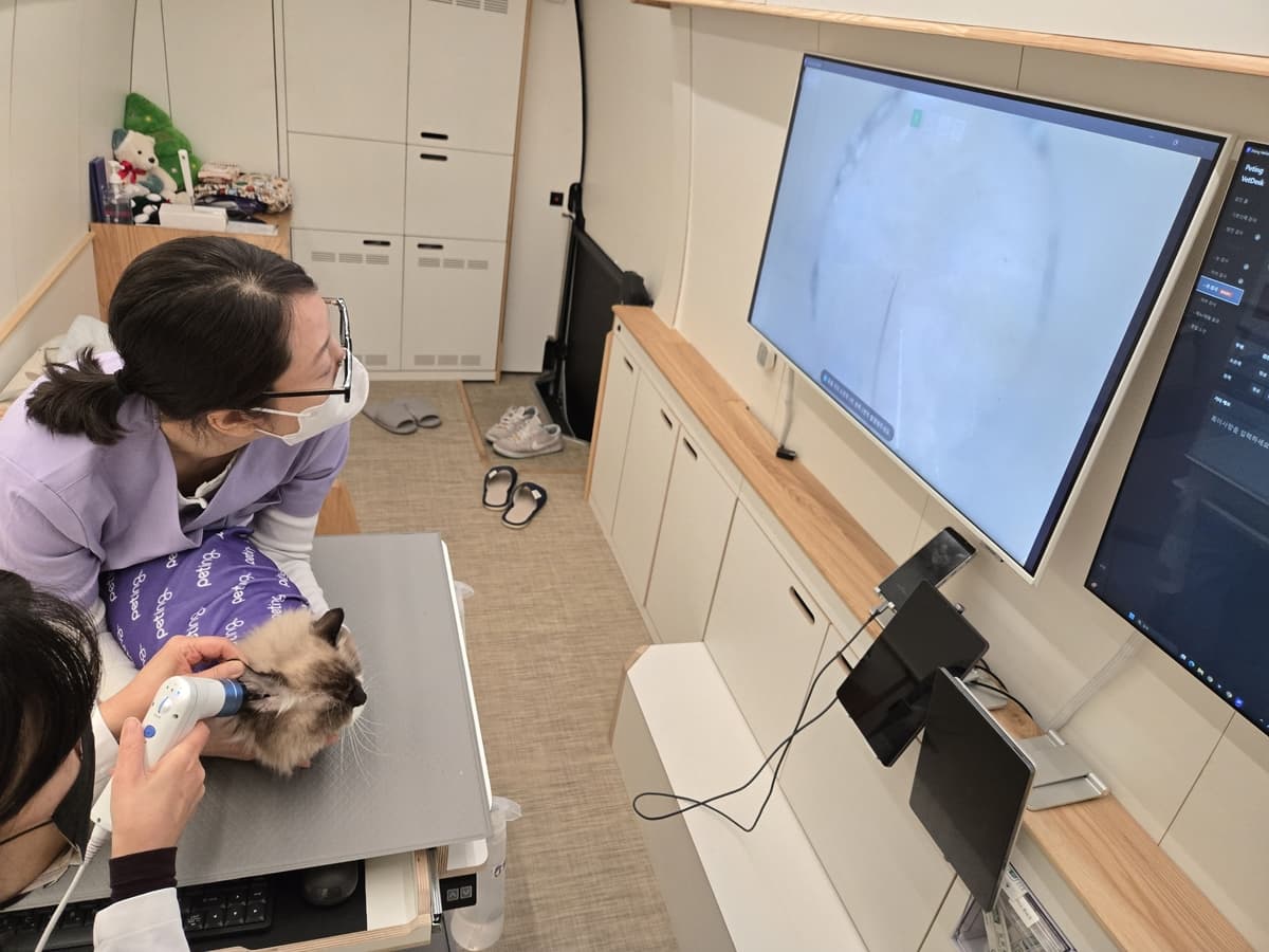 [냥집사 박기자가 간다] 찾아가는 댕냥이 건강검진 ‘펫팅’… 집사들도 엄지척