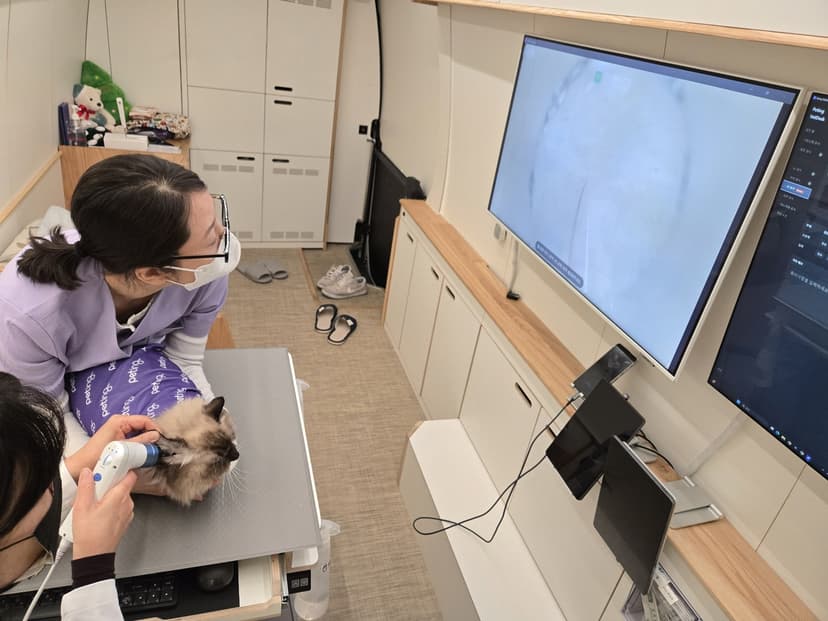 [냥집사 박기자가 간다] 찾아가는 댕냥이 건강검진 ‘펫팅’… 집사들도 엄지척 썸네일